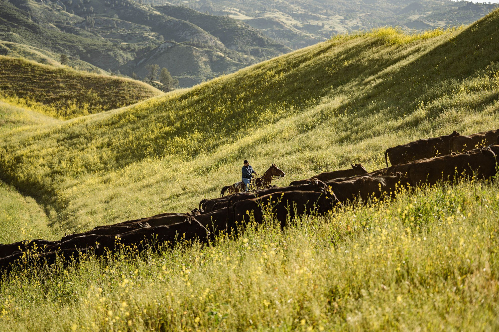 The Land | Kiani Preserve