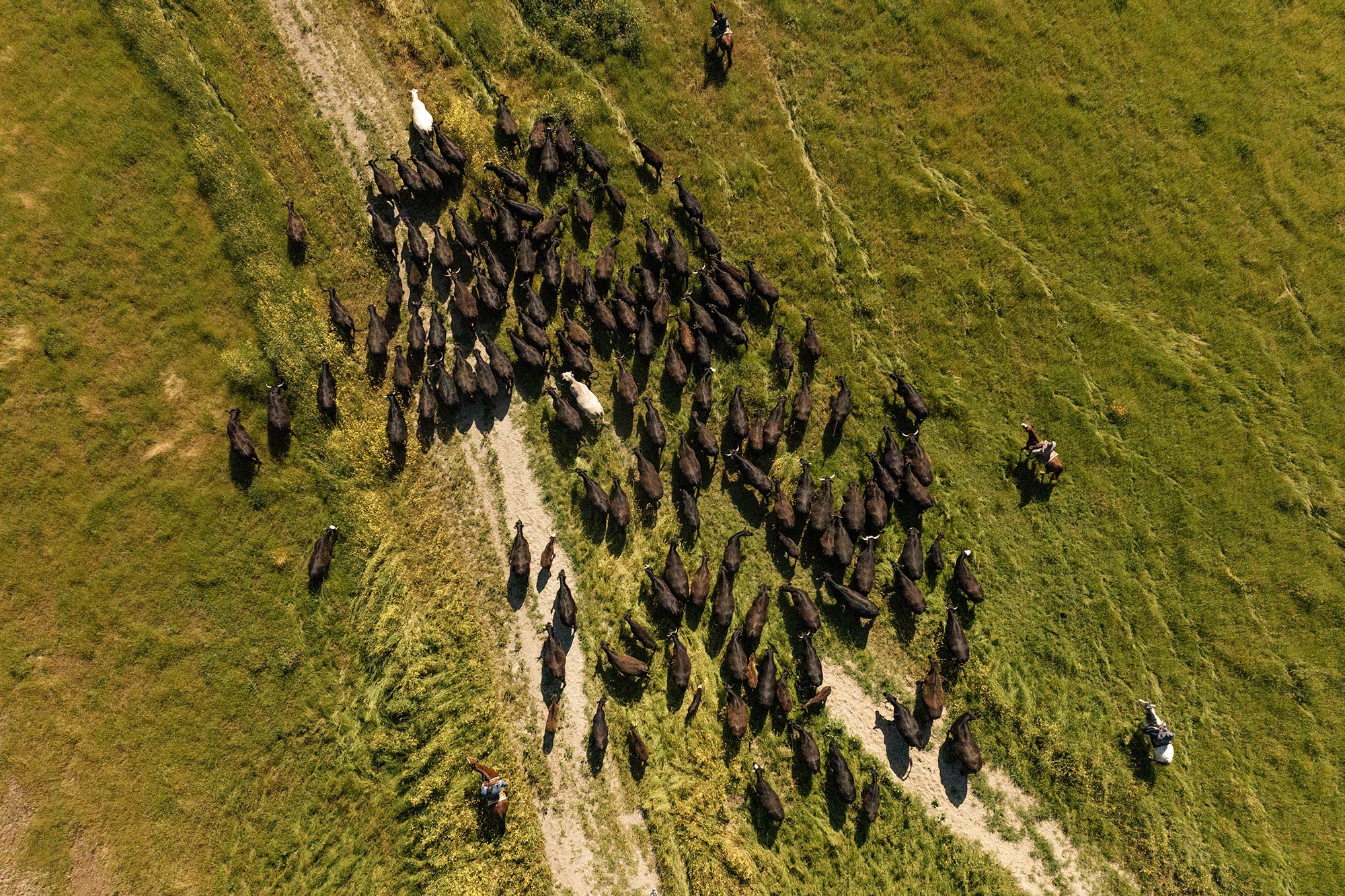 The Land | Kiani Preserve