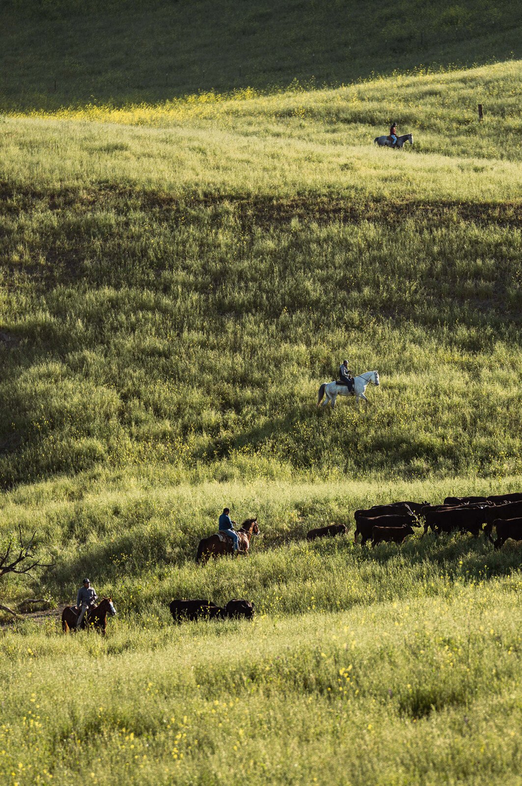 The Land | Kiani Preserve