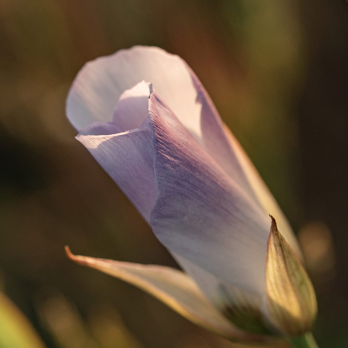 Ranch Provisions | Kiani Preserve