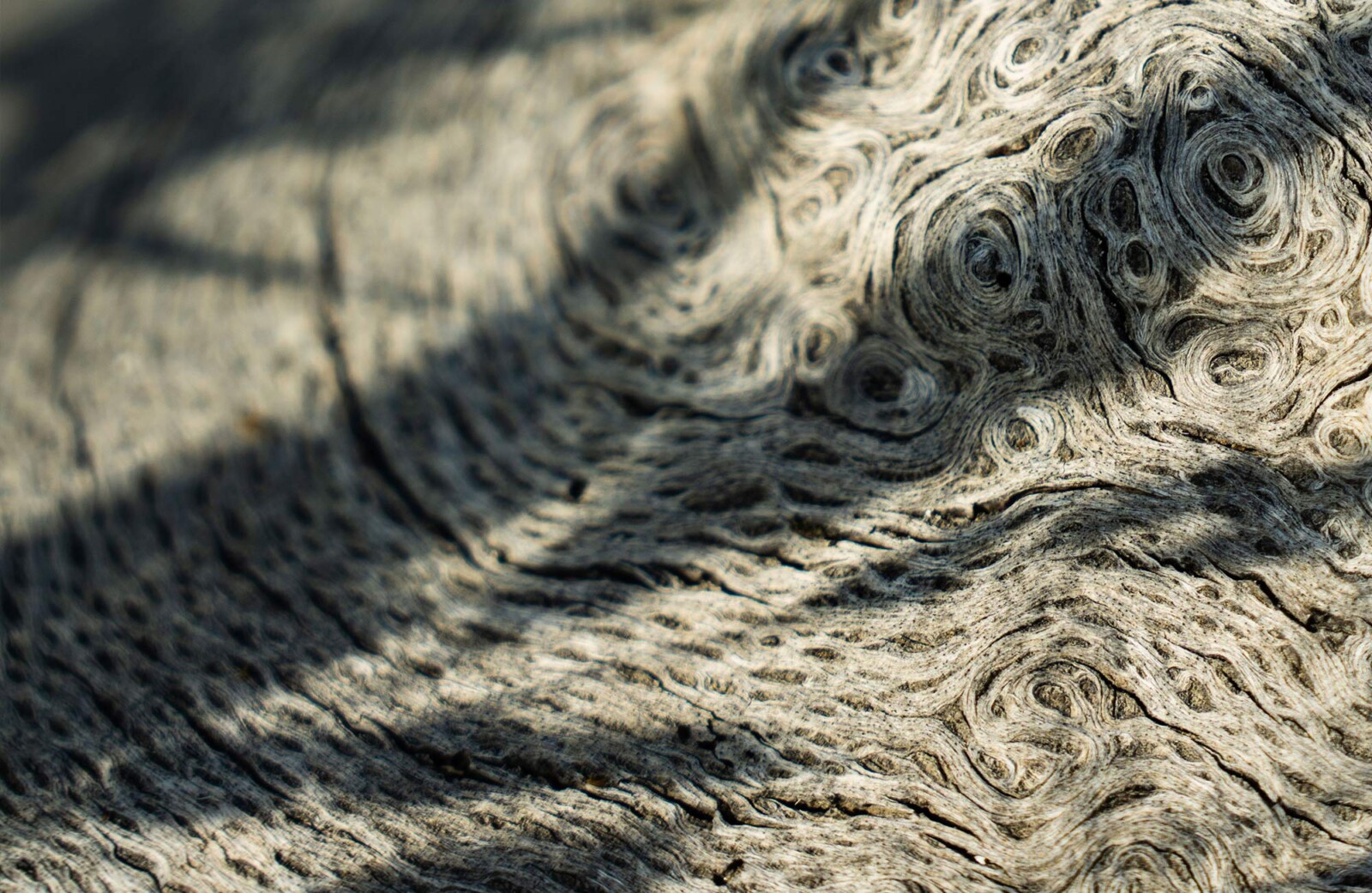 Ranch Provisions | Kiani Preserve