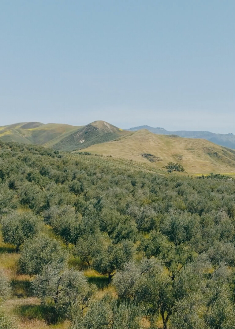 The Land | Kiani Preserve